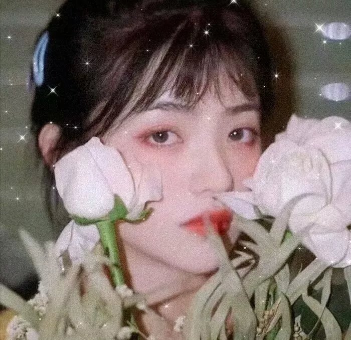 影子与谎言海报